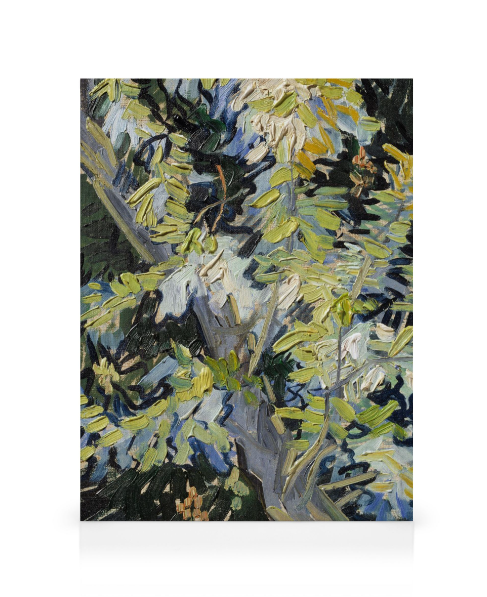 Van Gogh - Blossoming Acacia Branches Canvas print
